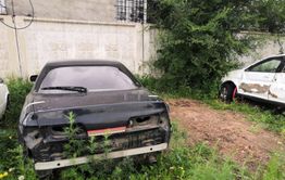 Банда скотокрадов предстанет перед судом в Забайкалье