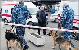 Телефонной  террористкой в Чите оказалась медсестра  - мать троих детей