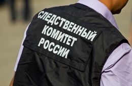 Следователи проверят информацию СМИ о бездомной женщине из Борзинского района