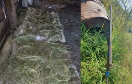 Оружие, наркотики и другое: Забайкальские пограничники рассказали, что они нашли во время рейдов