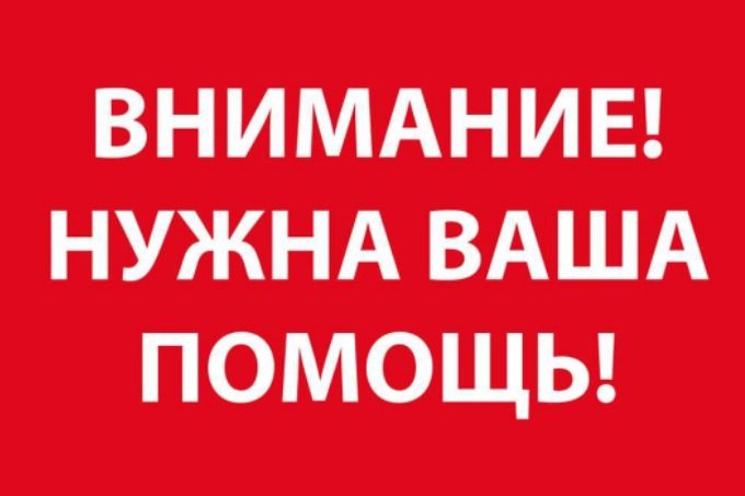 Объявлен сбор средств на помощь сотруднице нерчинской библиотеки — ее сын погиб в Красноярске