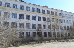 Собаки едва не напали на ребенка около школы в центре Читы