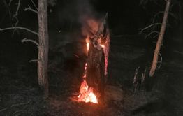 ​Горящий пень может стать причиной лесного пожара под Курорт-Дарасуном