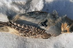 Где погас свет?