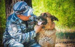 В Забайкалье полицейская собака Фрайер нашла без вести пропавшую женщину 