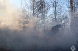 Рыбак устроил лесной пожар в Акшинском районе Забайкалья