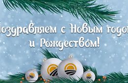 «Партия Дела» поздравляет читателей «Вечорки» с Новым годом!