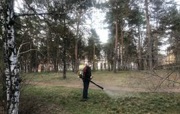 Парки, скверы и площади в Чите обработают от клещей