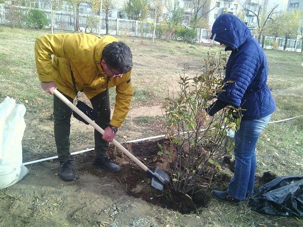 «Вечорка» приняла участие в озеленении площади Декабристов в Чите