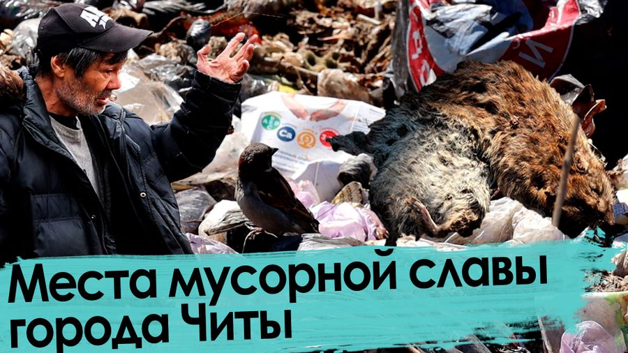 Мусор, бомж и крыса: что происходит на свалках Читы