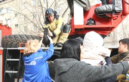 Два тойтерьера спасены из-под завалов взорвавшегося в Чите дома