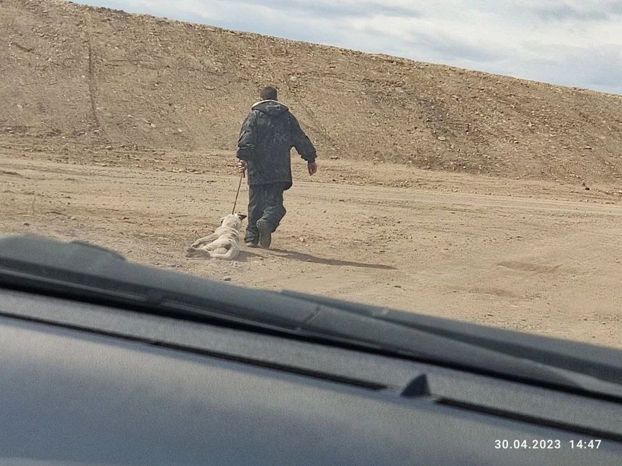 Забайкалец задушил собаку на глазах у детей и протащил ее по улицам поселка