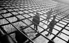АУЕ приравняли к фашистам