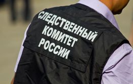 Следователи проверят информацию СМИ о бездомной женщине из Борзинского района
