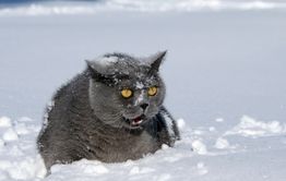 В Забайкалье в ночь на 8-е ноября ожидается мороз 