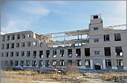 День выборов-2016: Сход граждан в Ясной закончился мордобоем