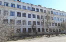 Собаки едва не напали на ребенка около школы в центре Читы