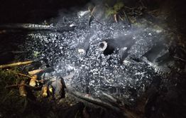 «Заметали следы, чуть не спалили весь лес» - пожар в Атамановке потушен