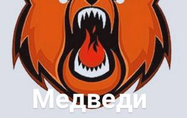 «Чикойские Медведи» - хоккейная «красная машина « из Забайкалья