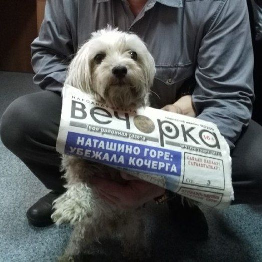 Возвращение блудного Лелика из плена 