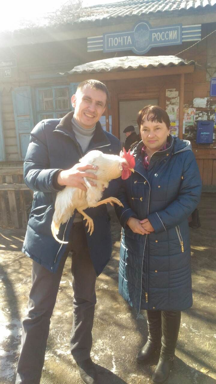 Живой петух от «Вечорки» приехал к победительнице из Хилка