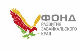 Директор Фонда развития Забайкальского края ответил на критику от СМИ и депутатов