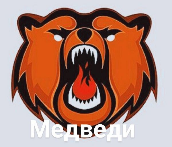 «Чикойские Медведи» - хоккейная «красная машина « из Забайкалья