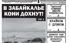 Анналы «Вечорки»: о чем писала газета 29 января 2013 года