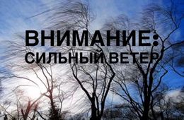 Усиление ветра и дождь ожидаются в Чите в воскресенье и понедельник