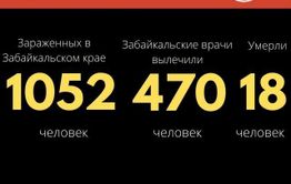За сутки в Забайкалье выявили 33 случая COVID-19. Еще один человек скончался