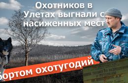 Вечорка ТВ: За бортом охотугодий. Охотников в Улетах выгнали с насиженных мест
