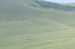 Сено в Шилкинском районе может стать причиной межэтнического противостояния