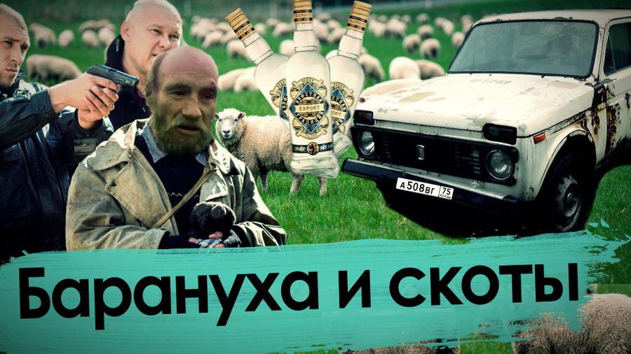 Барануха и скоты