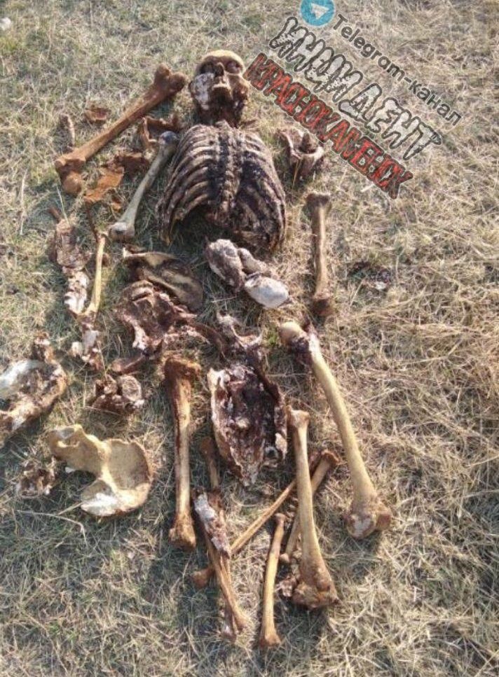 Человеческий скелет нашли в бочке с водой в Краснокаменске