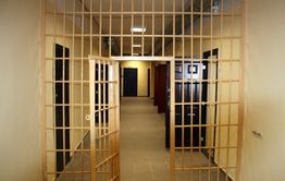 Директор «Забайкаллесхоза» помещен в ИВС