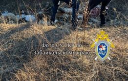 Бомж убил мужчину на животноводческой стоянке в Акшинском районе