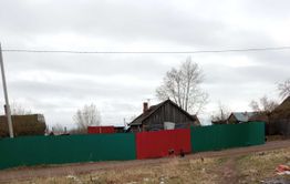 Жители поселка Наклонный в Чите пожаловались на своры собак
