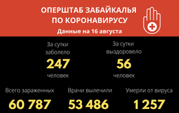 В Забайкалье за сутки выявили 247 случаев заражения коронавирусом