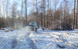 По дрова от первого лица