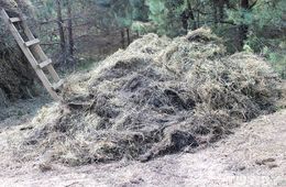 В Чите продают гнилое сено пенсионерам