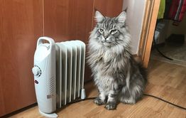 Пенсионерка из Краснокаменска пожаловалась на обогреватель