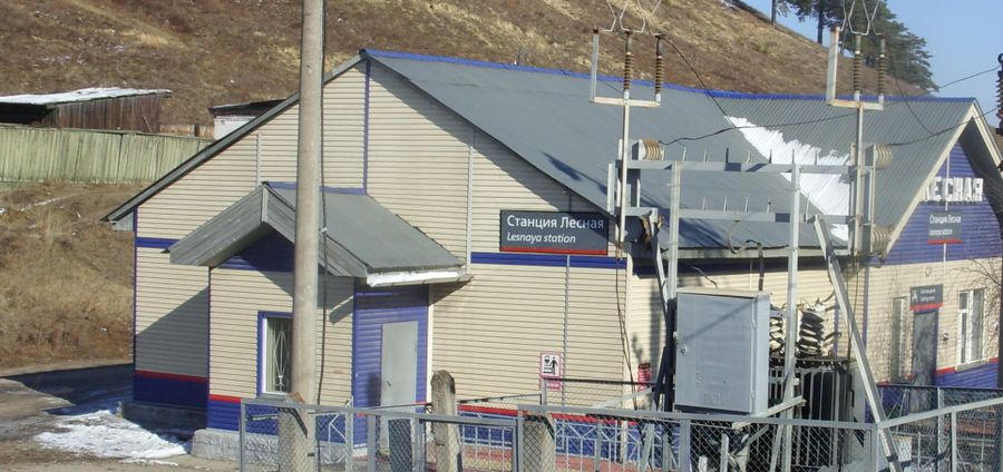 Забайкалец случайно застрелил 14-летнего подростка