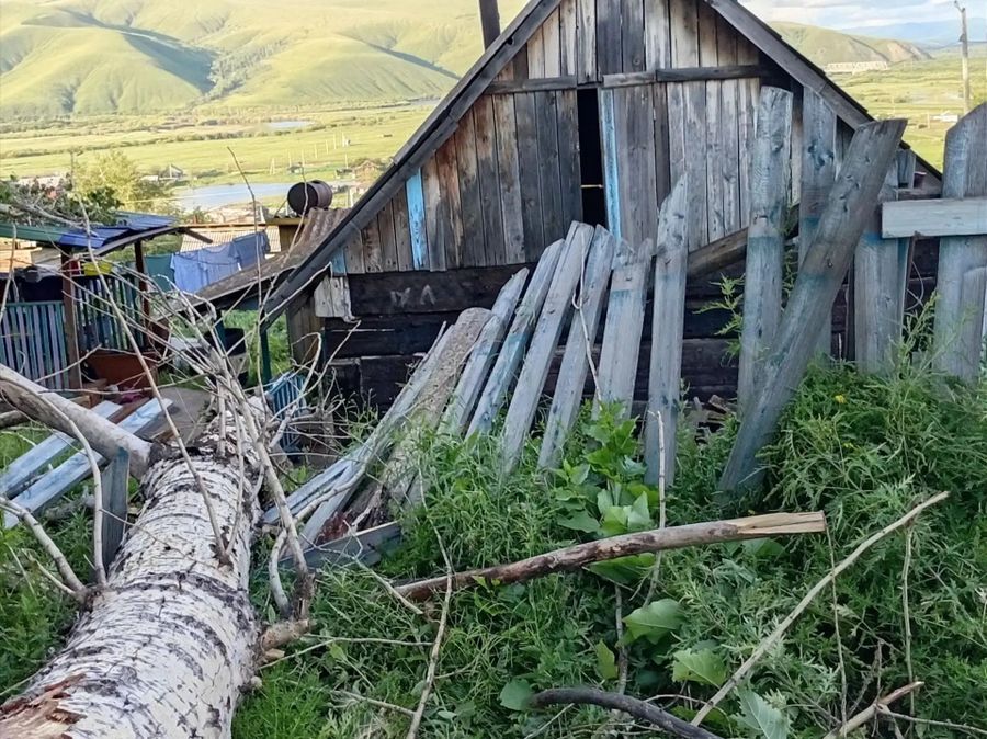 Ураган повалил тополь в селе Дунаево в Забайкалье