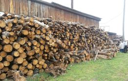​Дрова для котельных закончились в Нижнем Цасучее из-за вырубки горельника на месте соснового бора
