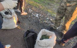 Более шести килограммов наркотиков попытались провезти в один из районов Забайкалья