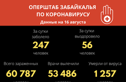 В Забайкалье за сутки выявили 247 случаев заражения коронавирусом