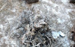 В Горном устранили аварию
