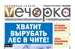 «Вечорка» № 9: Хватит вырубать лес в Чите