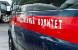 Следователи начали проверять сообщения СМИ об избиении ребёнка судьёй