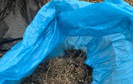 Забайкалец задержан с двумя килограммами марихуаны